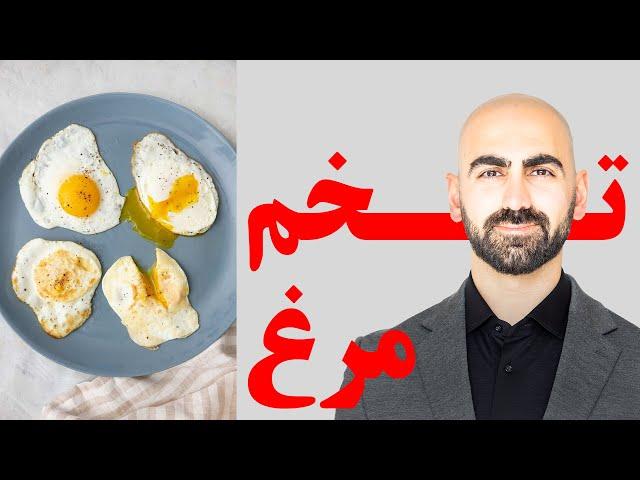 #03 - تخم مرغ ترس داره یا نه؟ آیا بیــن 2 تـــا 5 عدد تخم مرغ میتونه مناسب باشه؟