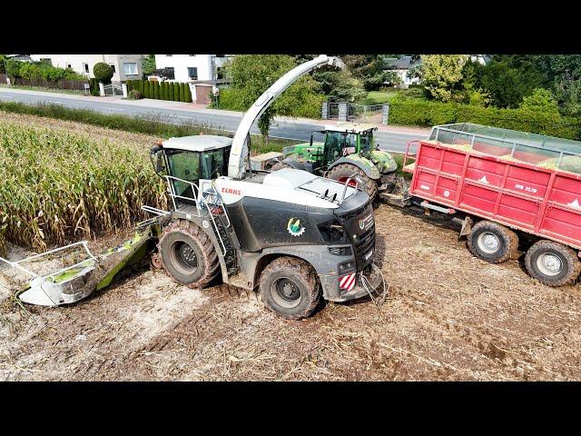 Mais 2024 | Claas Jaguar 980 am Mais häckseln mit Fendt 1050, 936 John Deere 7R 290