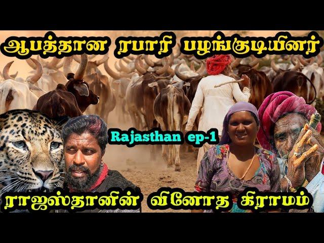 ராஜஸ்தானில் சிறுத்தைக்கு உணவளிக்கும் வினோத பழங்குடி கிராமம்|sena tribal village|rabaribtribes