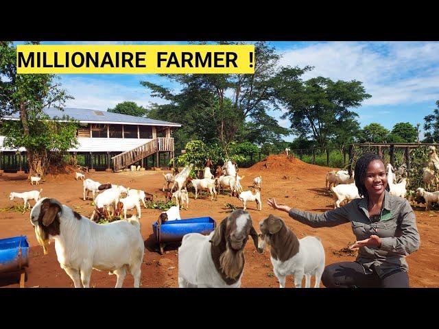 All You Need For A Simple Successful GOAT Farm Business!| Feeding, Treatment, Farm ROUTINE