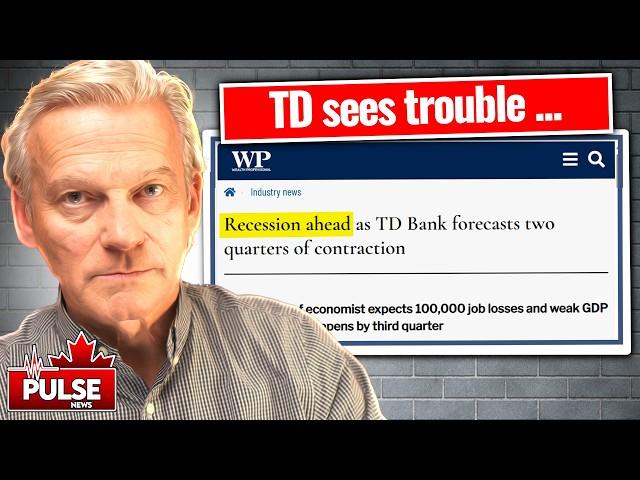 TD Bank's Top Economist Warns of Recession (I review her logic in this video.)
