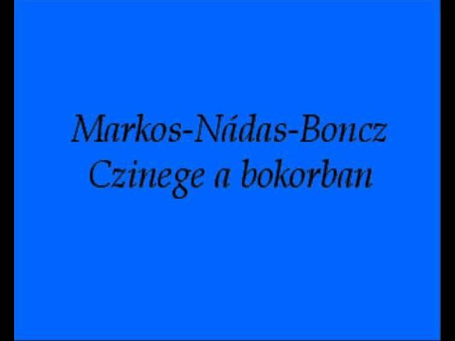 Markos-Nádas-Boncz - Czinege a bokorban