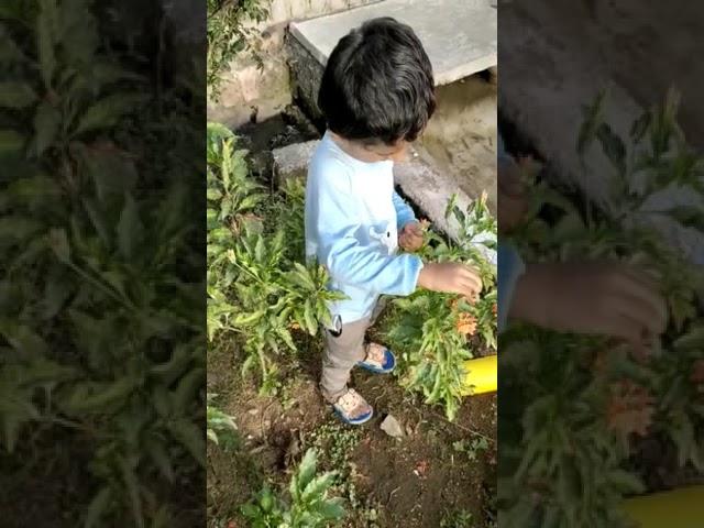 #aadhyareddy #shorts #enjoying #aadhya