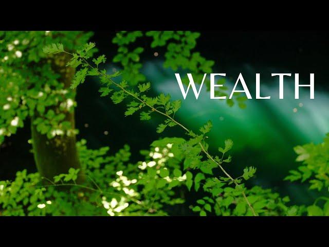 Attract Wealth, Abundance & Prosperity