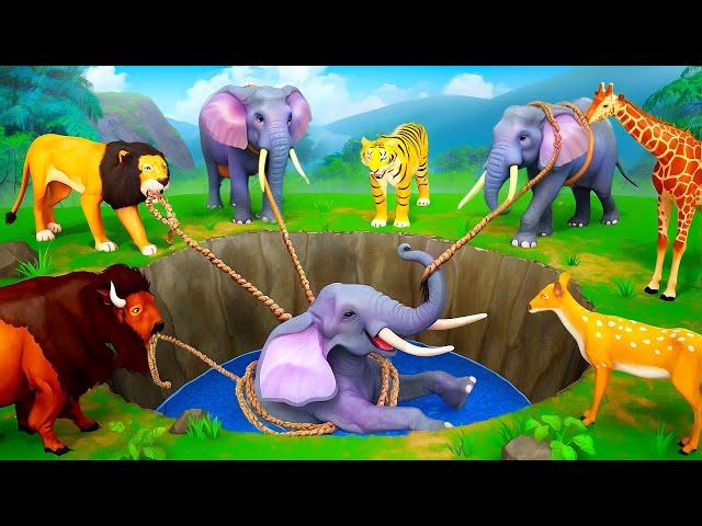 Epic Elephant Rescue: Farm Animals Heroic Adventure | Elephant Rescue Videos