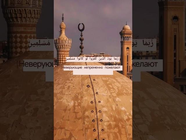 Quotes from Quran/Цитата из Корана #allah #quran #prophetmuhammadﷺ #аллах #коран #пророкмухаммадﷺ