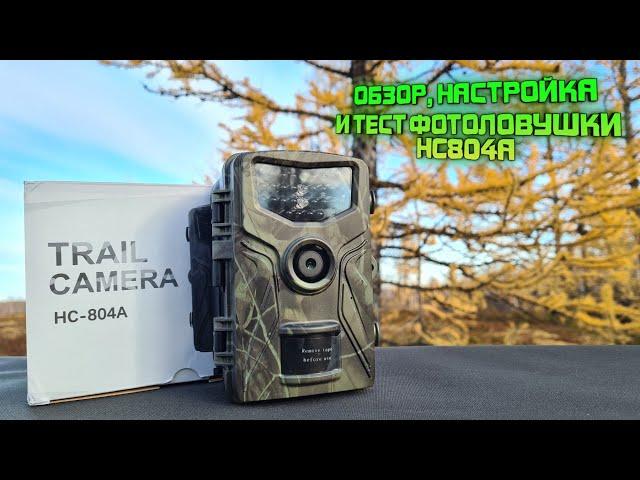 обзор, настройка и тест бюджетной фотоловушки suntek HC804A из AliExpress