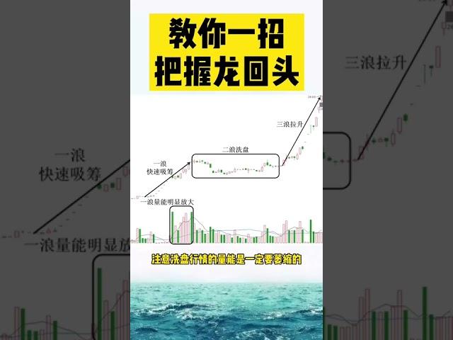 【 外汇金融 】教一招把握龙回头