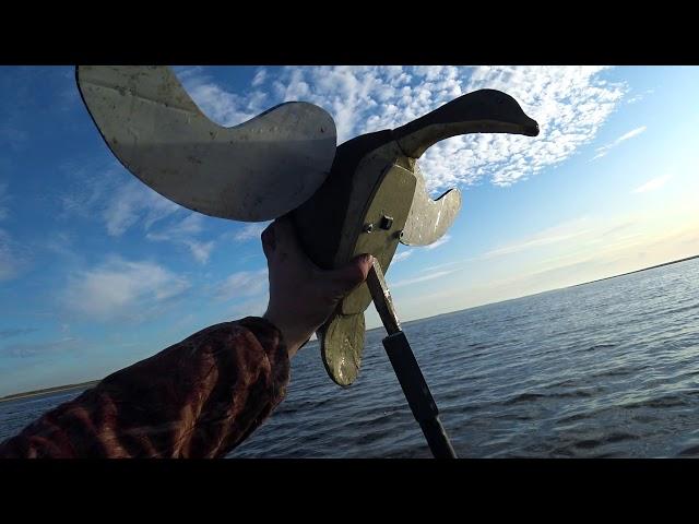 Одиночная Охота, подходит северная утка.  Single Hunt, Northern Duck approaches.