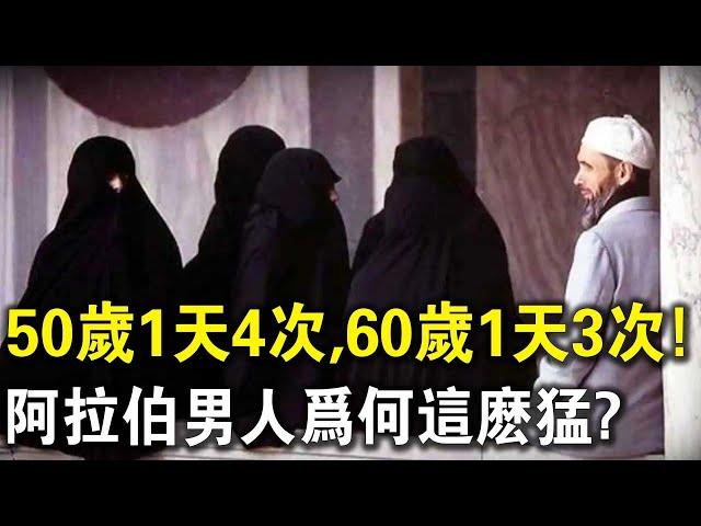 50歲1天4次!60歲1天3次！阿拉伯男人為何這麼猛？“獨門秘籍”讓人大開眼界！