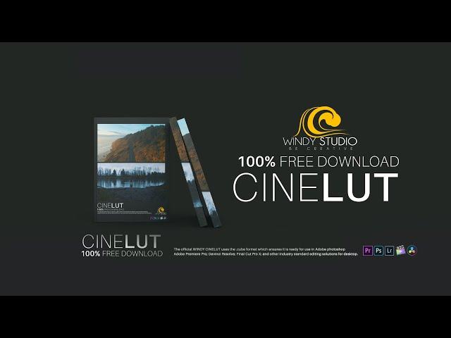 Free Cinematic LUTs from Hollywood Films