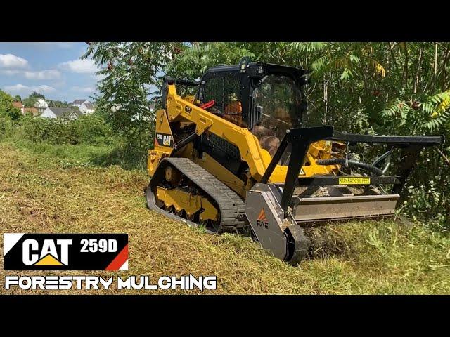 Forestry Mulching with a CAT 259D | FAE 150 Mulcher