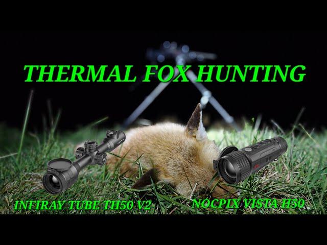 THERMAL FOX HUNTING || Hunting With Good Cam Hunting || INFIRAY TUBE TH50 V2 AND NOCPIX VISTA H50