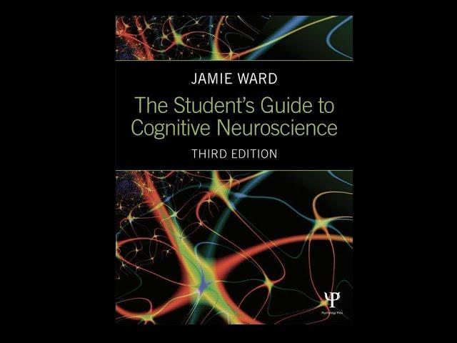 chapter 7 - the spatial brain (3rd edition)