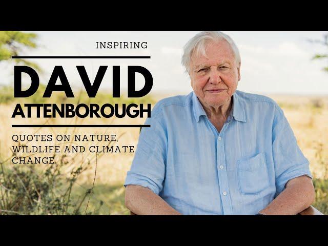 Inspiring David Attenborough Quotes On Nature, Wildlife and Climate Change