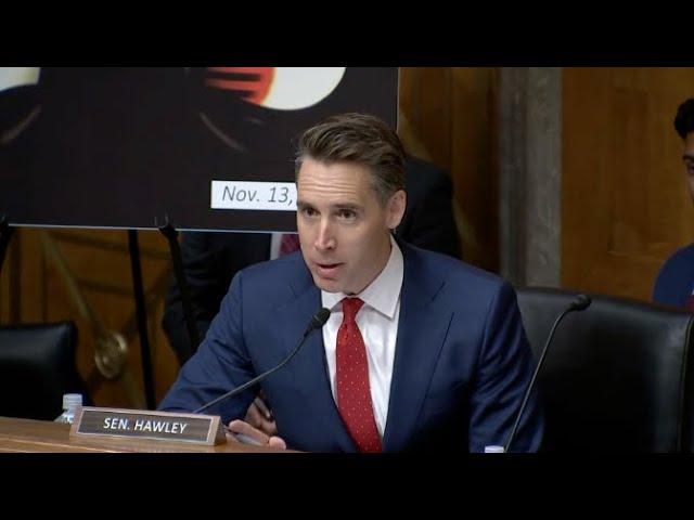 Hawley Blasts McKinsey’s CCP Ties, Rebukes Witness For Comparing Consulting Firms & Soybean Farmers