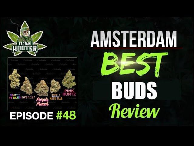 AMSTERDAM Best Coffeeshops Review #48 (Bud Report by Captain Hooter)