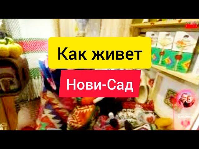 Как живет ночной Нови-Сад, прогулка