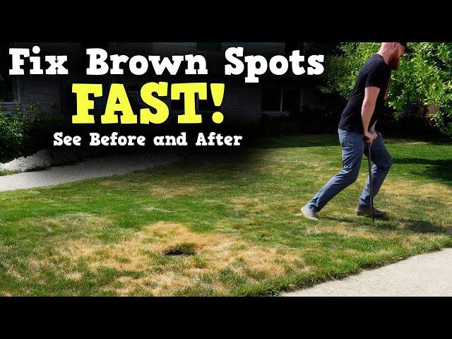 fix brown spots in grass!  2 Easy Steps.  brown grass to green grass