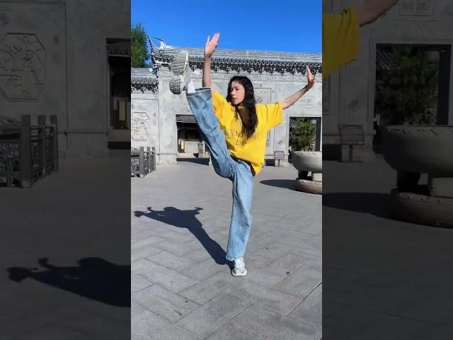 太极之韵，身心合一。#太极 #武术#太极拳