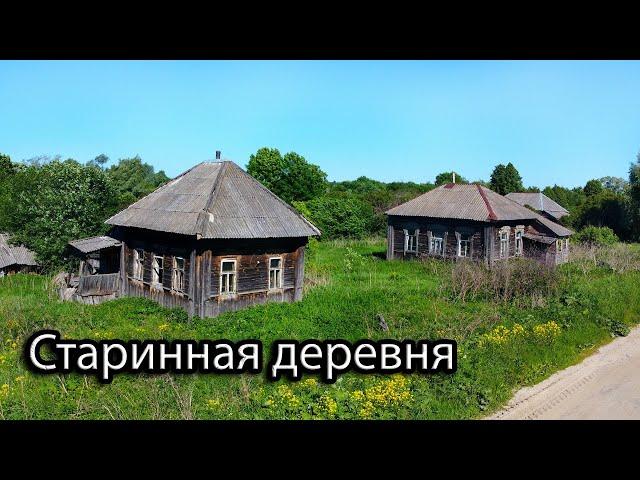 Заброшенная деревня Тамбовской губернии (ныне Рязанская область). Десятки брошенных домов.