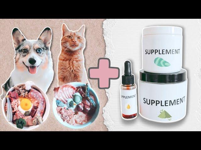 7 Natural Supplements For Your Raw Fed Pet