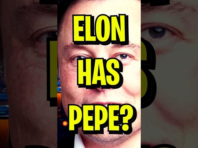 *FULL VIDEO UP NOW* ELON MUSK HOLDS PEPE COIN?!  #pepecoin #pepecrypto #pepe #memecoin #elonmusk