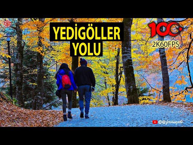 Yedigöller Yolu 2023 Süper Manzaralı yol | Hamzabeyli Yaylası Yedigöller arası 2K60FPS #yedigöller