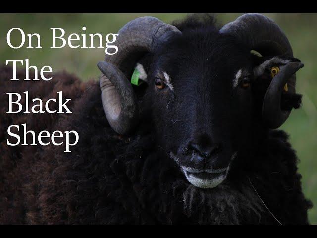 The Truth About Being The Black Sheep