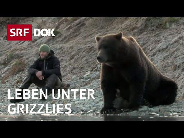 Mit Bärenforscher David Bittner in Alaska | Leben unter Bären | Doku | SRF Dok