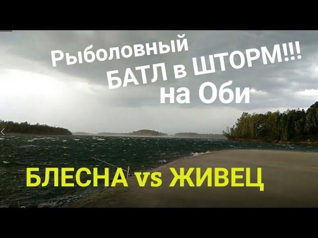 РЫБОЛОВНЫЙ БАТЛ в ШТОРМ!!! или ЩУКА на СПИННИНГ vs ЖИВЕЦ!