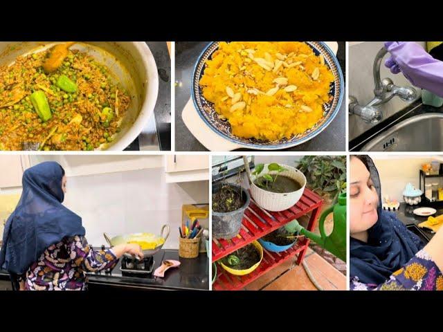 Shadi k bad boht mushkilen dekhi || Mehngai ka tor karen || Moong Daal Halwa || Qeema matar