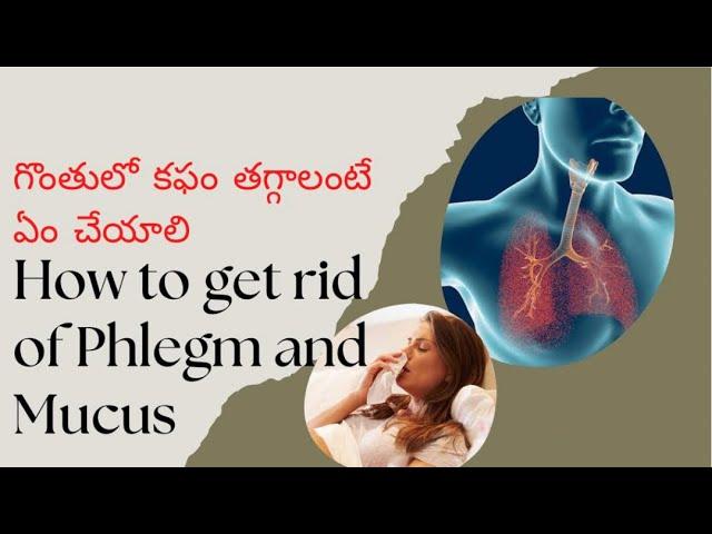 How to get rid of Phlegm and Mucus at home| DIY | 1 cup will clear Phlegm in chest and lungs #shorts