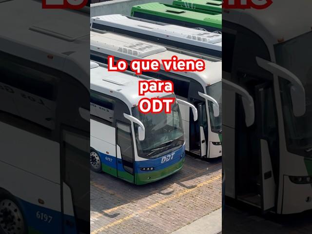 Ómnibus de Tizayuca estrena autobuses y cromática #autobus