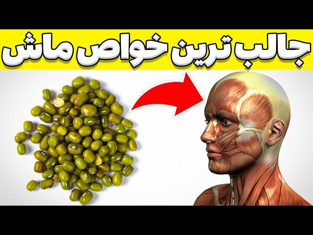 بهترین خواص ماش برای سلامتی | خواص ماش