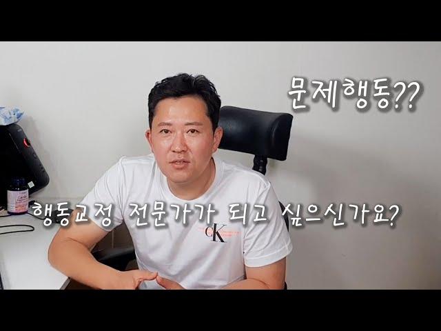 행동교정 전문가 양성반을 개설했습니다. 진짜가 되고 싶으신가요? 그럼 제게로 오세요.