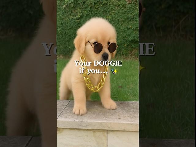 Your DOGGIE!  #DogLovers #Pawfect #DogLife