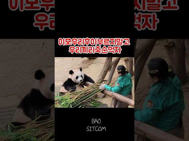 이모한테 죽순으로 거래를하는 루이바오