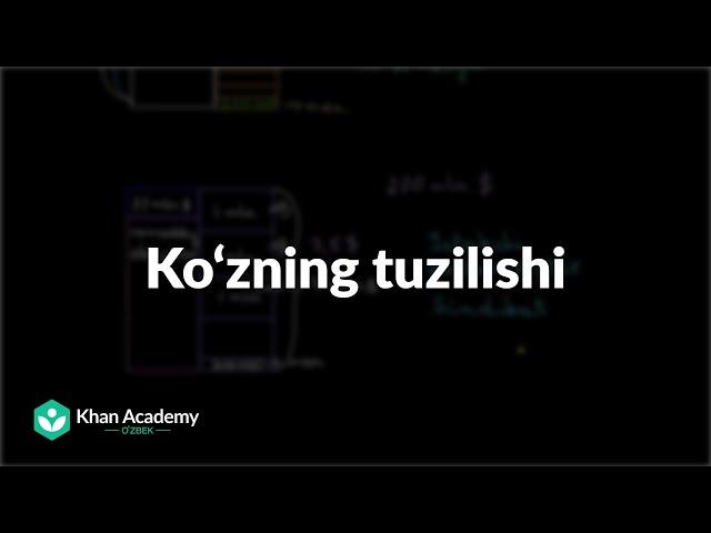 Ko‘zning tuzilishi | Tibbiyot