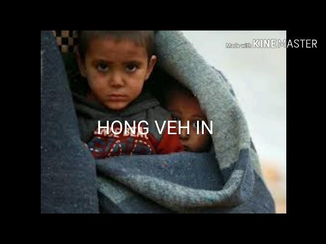 HONG VEH IN