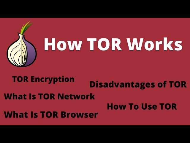 [PRACTICAL]What is TOR? How TOR Works? Tor Encryption? Advantages and Disadvantages. How To Use Tor?