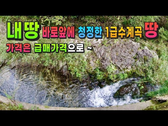 강원도 횡성부동산 급매물 횡성계곡땅매매 [강원도 횡성군 청일면부동산] #횡성토지매매