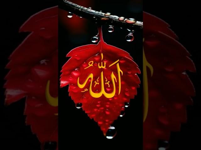 #Ya #ali #ali #ali #ali #ali #subseribe and #like