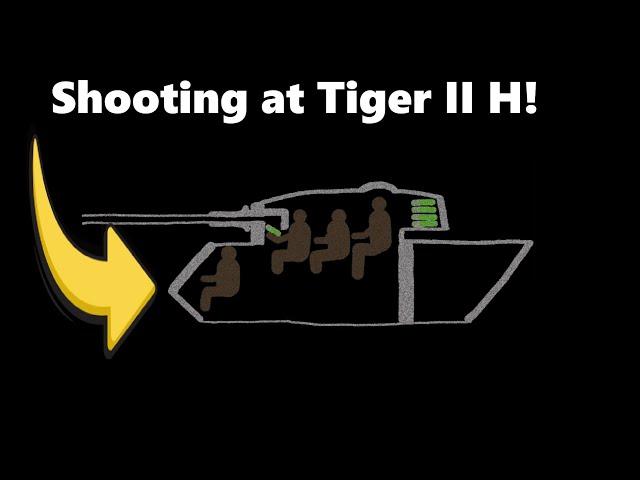 Shooting at Tiger II H in SST!