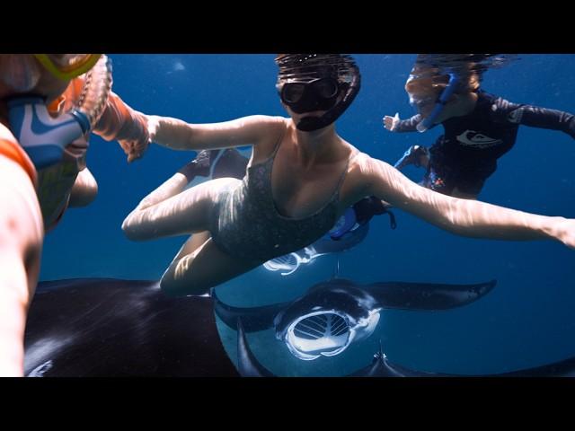 INCREDIBLE moments of ISLAND LIFE - Our Family Swim with Manta Rays