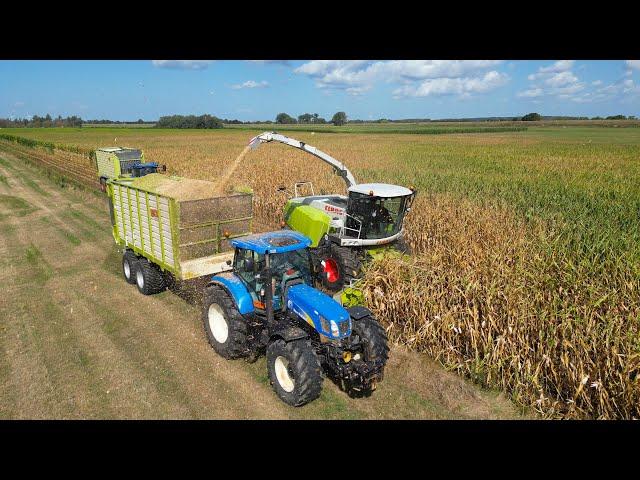 Maize Silage 2022 at the river / Claas Jaguar / New Holland T7 / Loonbedrijf Weiman / Corn harvest