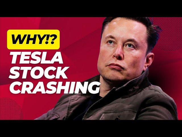 Top Finance Expert Reveals Why Tesla Stock is Falling