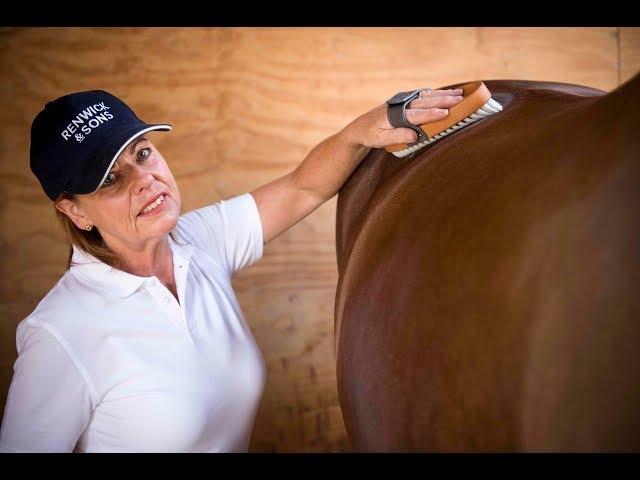 Olympic Dressage Groom Shares Top Tips