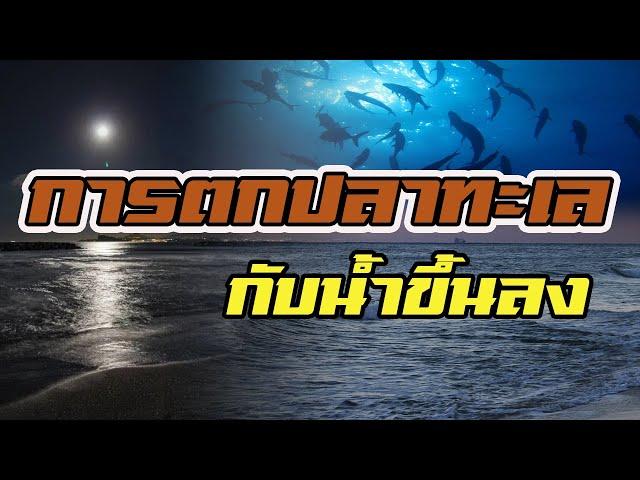 การตกปลาทะเล | กับน้ำขึ้นลง | ข้างขึ้นข้างแรม