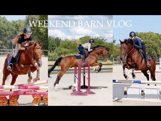 CHAOTIC WEEKEND BARN VLOG